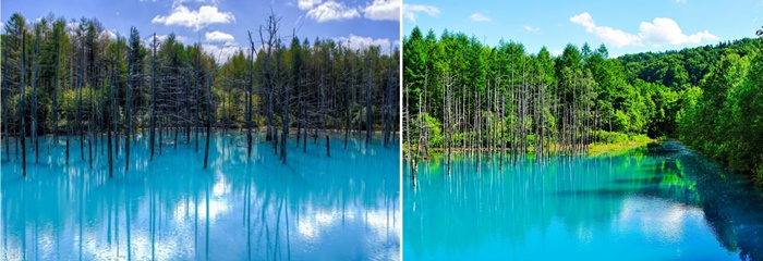 푸른 연못 (Blue Pond) · 여행사 제공 참고 사진