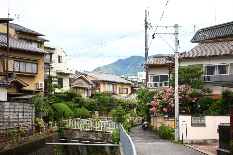 아라시야마 산책 [ARASHIYAMA:嵐山] · 여행사 제공 참고 사진