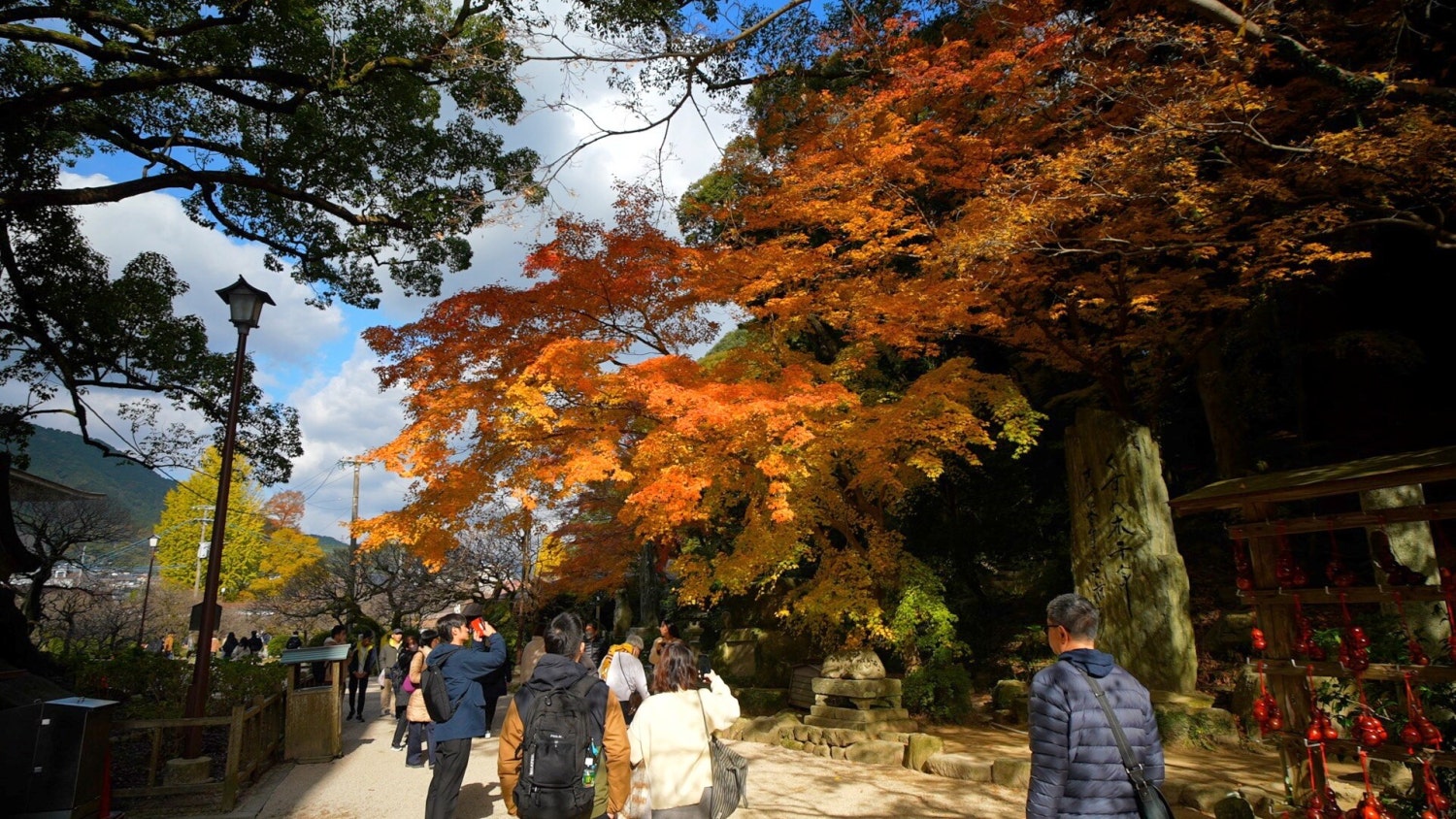 노랗고 붉게 물든 단풍나무 길을 따라 배낭을 멘 관광객들이 산책로를 걸어가고 있습니다.