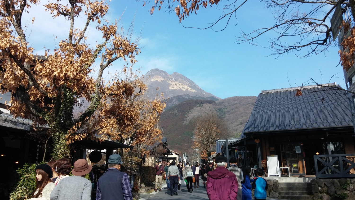 가을빛으로 물든 가로수와 전통 목조 상점들이 늘어선 골목길 너머로 솟아 있는 유후다케 산봉우리