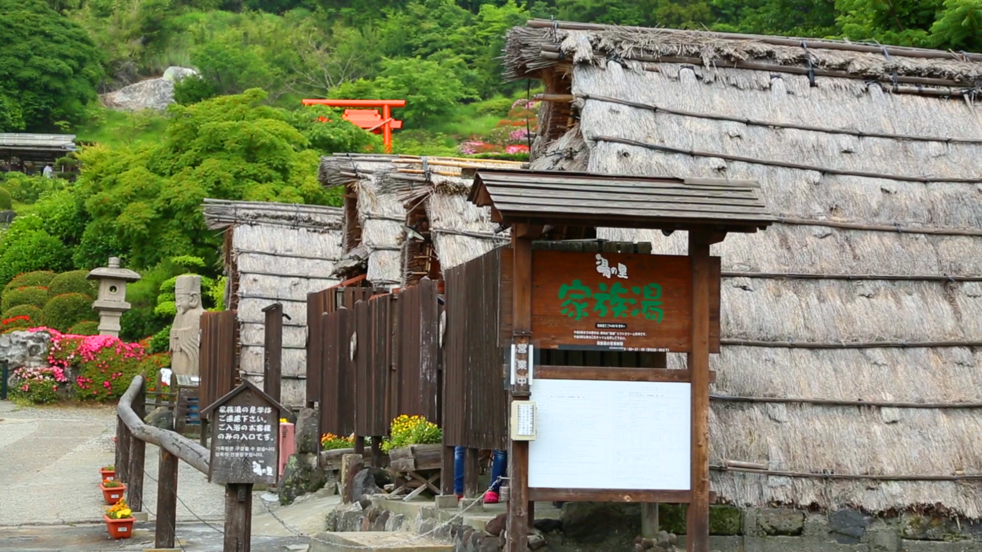 부산출발 후쿠오카 3일 6명출확 오전출도착 온천1박 우키하 유후인 벳부 아소 5