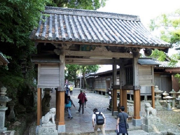대마도2일/부산출발/4인출확 연합/2항차 씨플라워호/부산에서 가장가까운 일본 대마도 1박2일/이즈하라/히타카츠 왕복